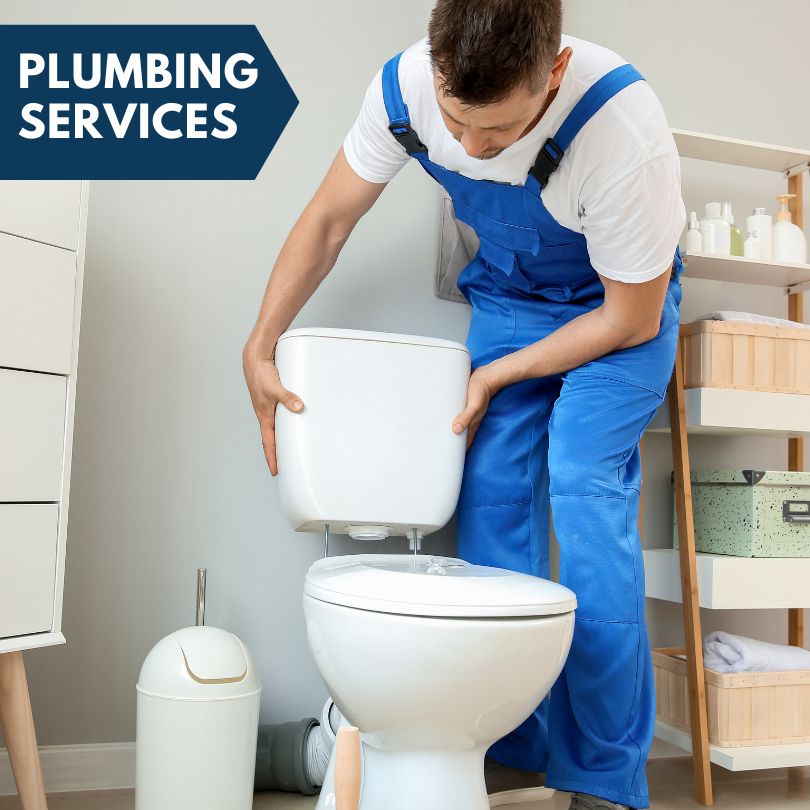 Plumbing Company in Lemont, IL