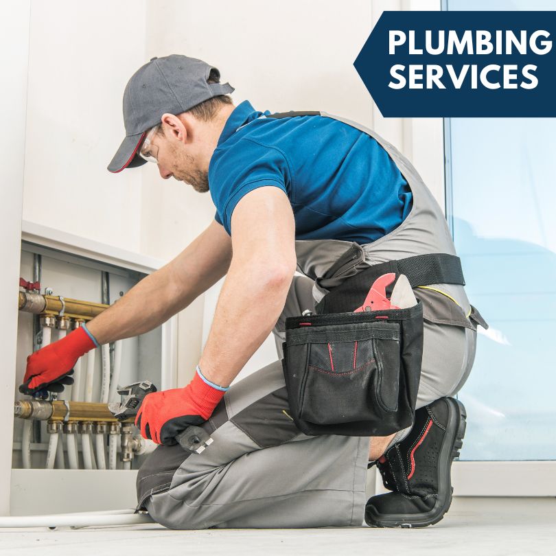 Lemont Plumbing Company